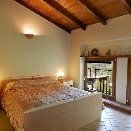 Agriturismo Ca' Del Ciuco Vezzano sul Crostolo Eksteriør billede